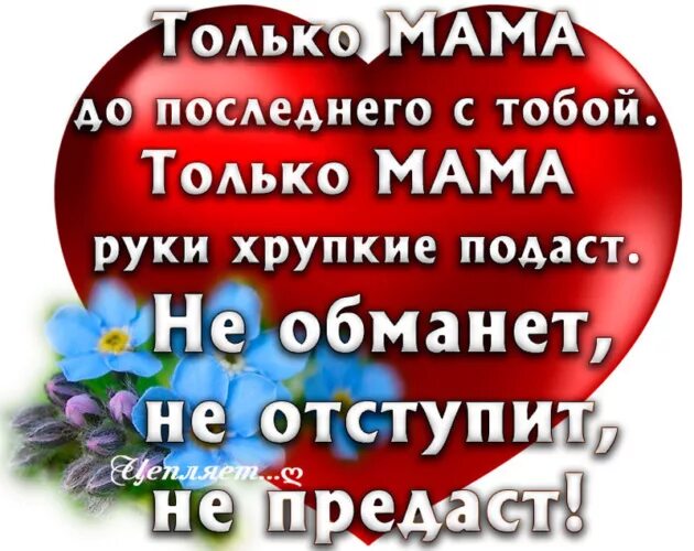 Обман дочка. Открытки на маму обижаться нельзя. Нельзя обижаться на маму. Не смейте не прощать обиды мамам. Сын обидел маму цитаты.