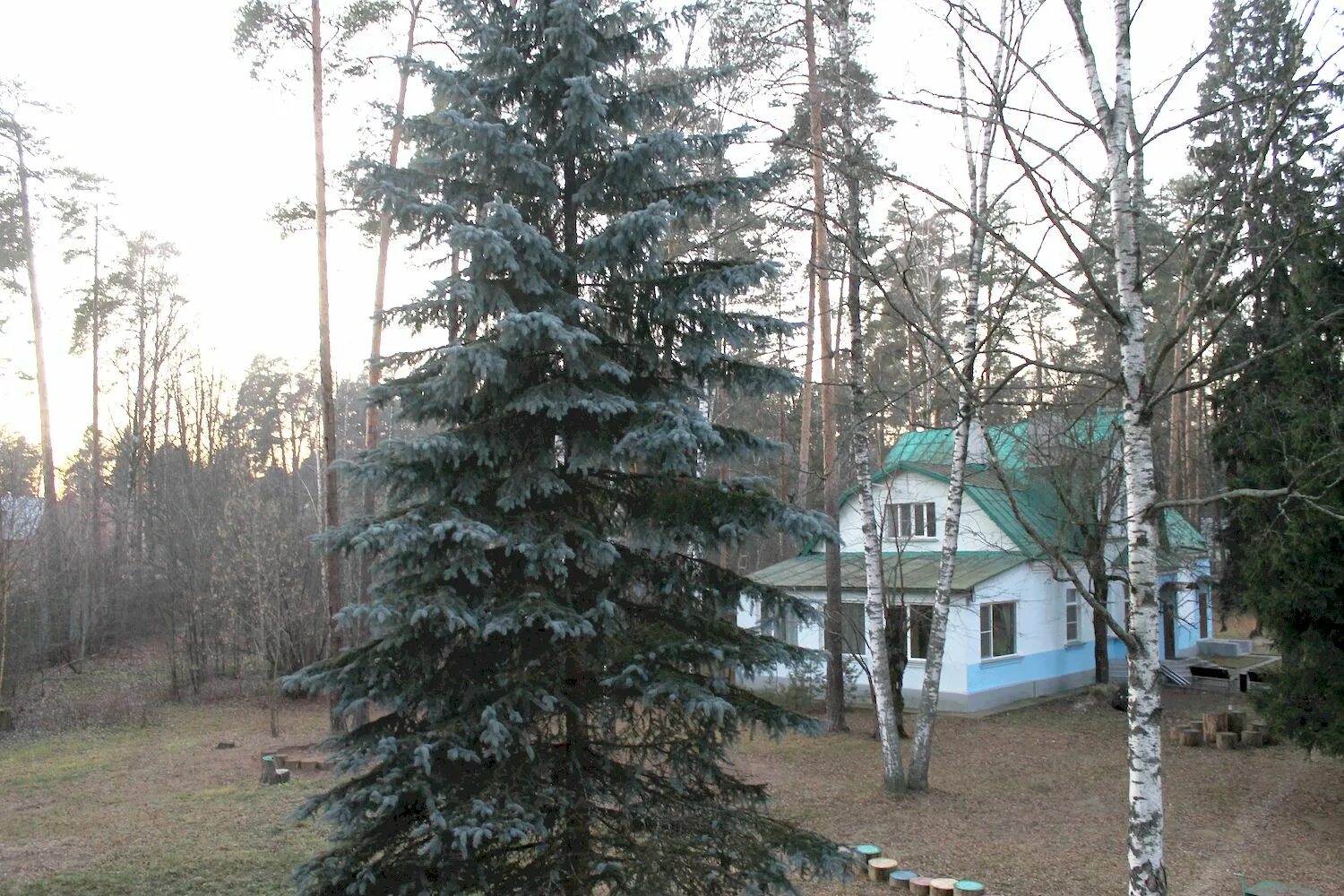 королев, микрорайон первомайский, ул. дом престарелых sm-pension. пансионаты для престарелых в королеве. Sm pension королев. пансионат апрелевка.