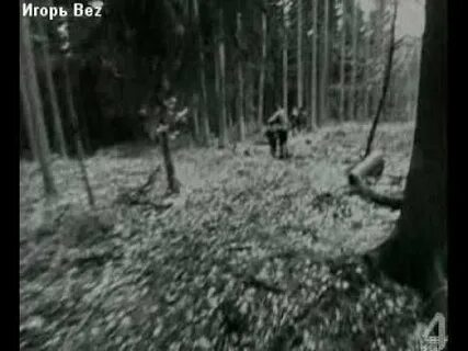 Охотник песня король