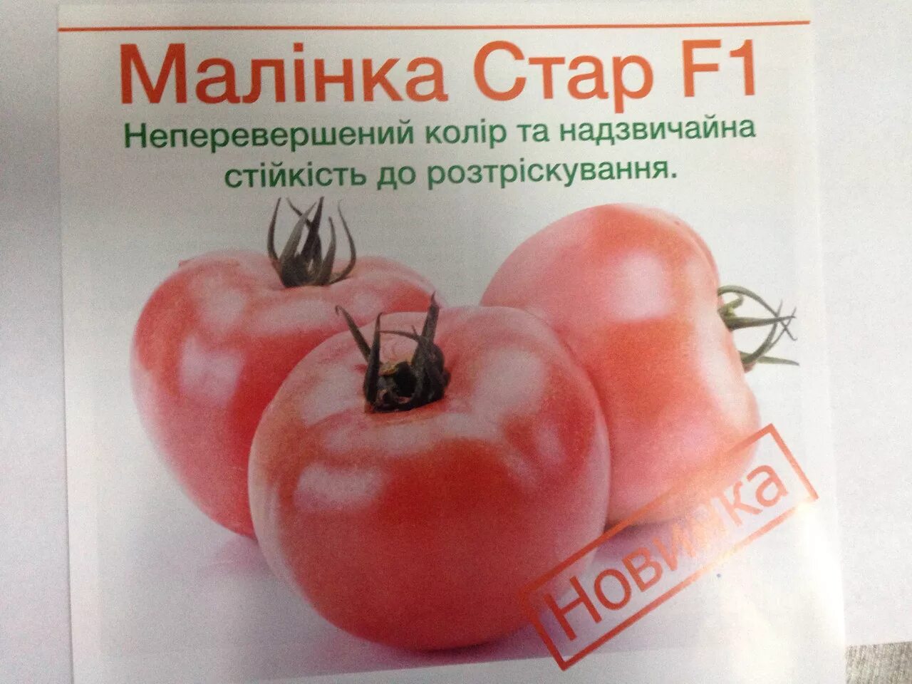 Помидоры малинка описание сорта. Томат калинка малинка. помидоры сорт малинка. томат малинка розовый. томат малинка характеристика.