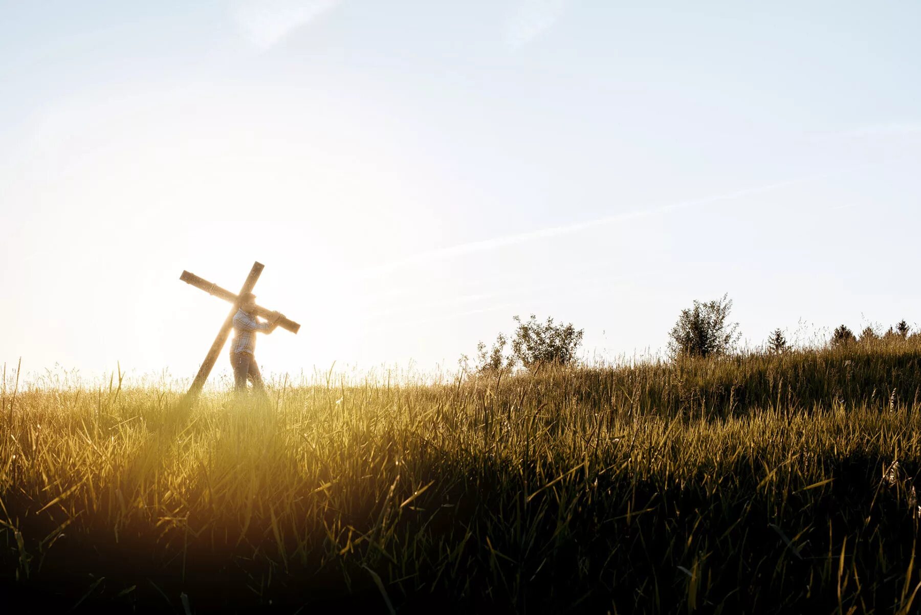 Crosses through