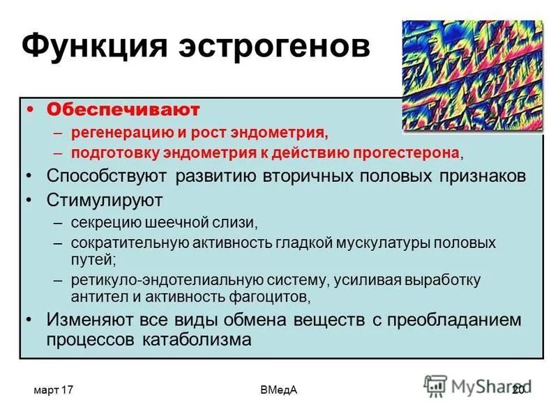 Симптомы повышенного эстрогена у женщин. Функции эстрогена в менструационного цикла. Эстрогены функции. Прогестерон функции. Функции эстрогена и прогестерона.