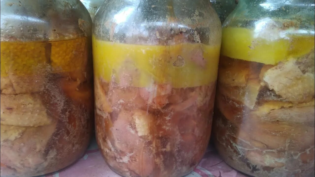 Тушенка из утки рецепт на зиму. Тушенка из утиного мяса. тушенка гусиная. тушенка из утки без автоклава.