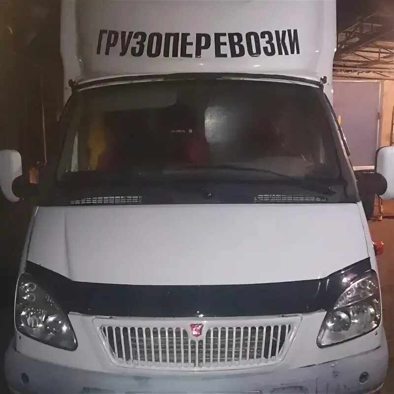 Газель темрюк. Газель темрюк
