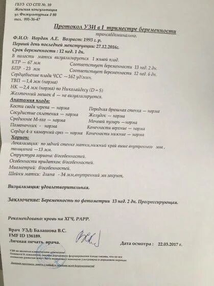 Протокол УЗИ на 4 неделе беременности. Протокол УЗИ 2 недели беременности. УЗИ 10 недель беременности протокол. Заключения УЗИ 8 недель беременности. Узи неделя задержки