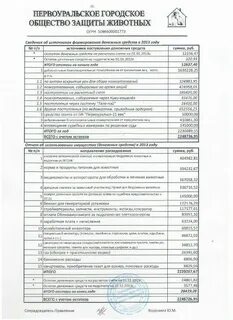 Денежный отчет опекунов