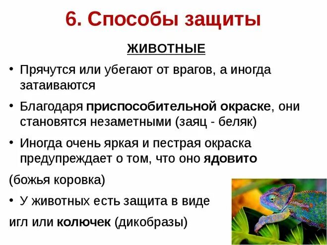 Какими известными вам способами