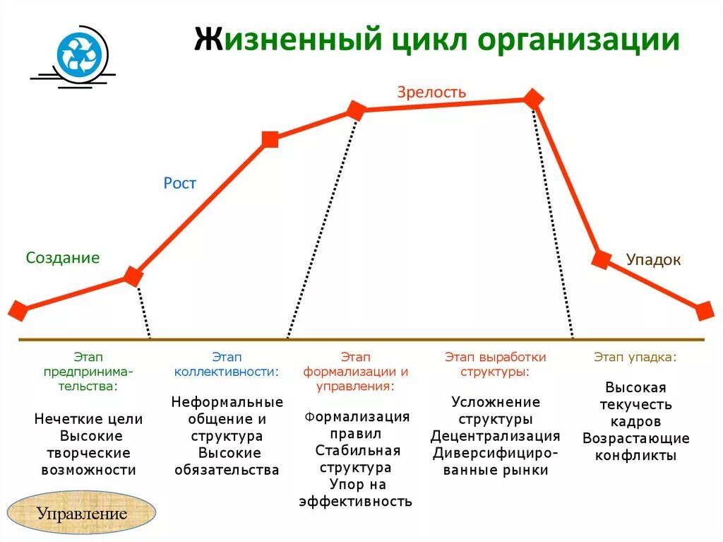 Этапы управления жизненного цикла. Этапы управления жизненного цикла