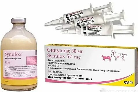 Можно ли котятам давать антибиотики