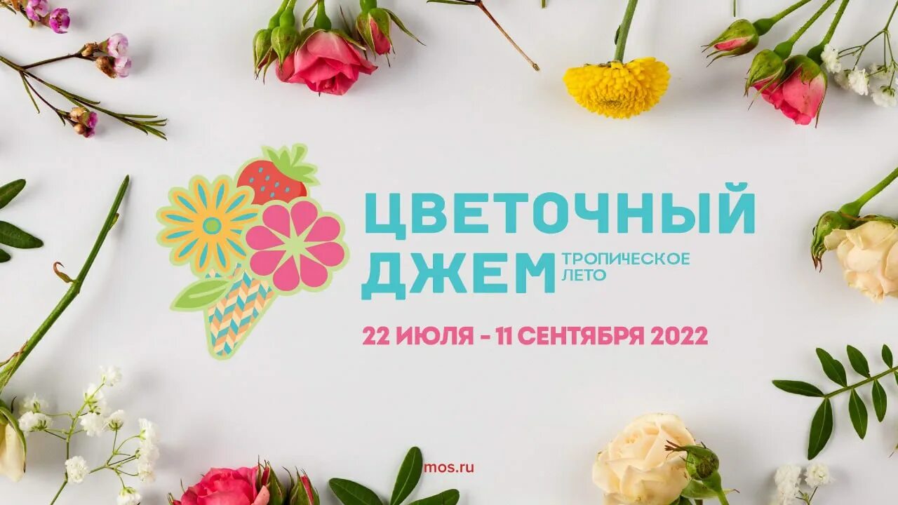 Добрый день картинки позитивные. Шикарный букет цветов. Фестиваль цветочный джем в москве 2022. Что символизируют цветы. Обозначение цветов растений.