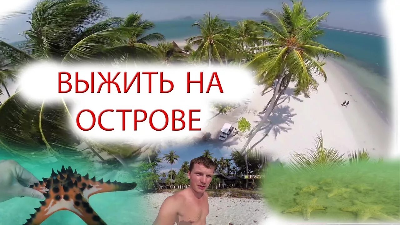 Как выжить на необитаемом острове. Советы для выживание на острове. билет на необитаемый остров. как выжить на необитаемом острове проект. картинки как выживают на острове.