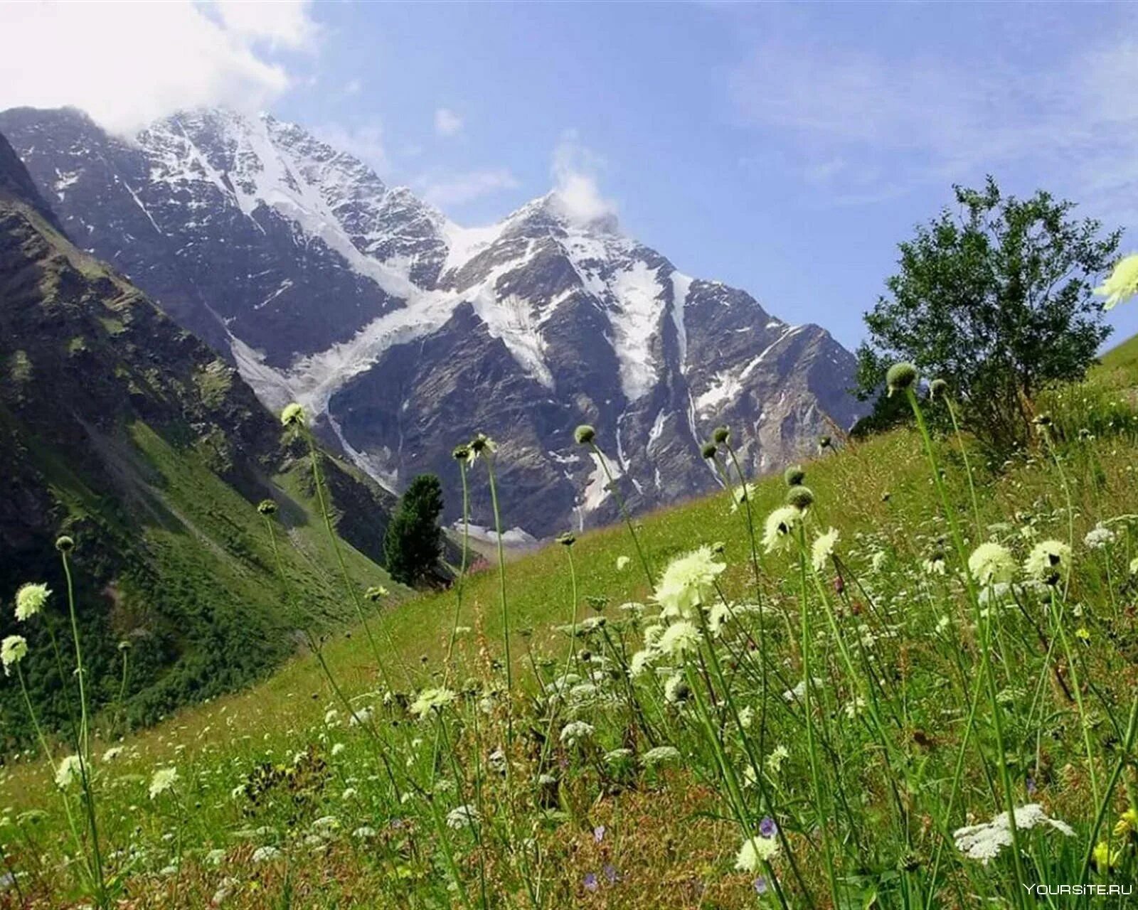 Природный пояс у подножия гор кавказа. Гора Чегет в Кабардино-Балкарии. Терскол гора Чегет. Чегет Приэльбрусье. Гора Терскол Приэльбрусье.