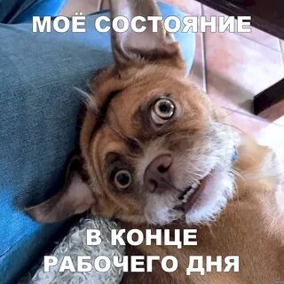 Приколы после рабочего дня