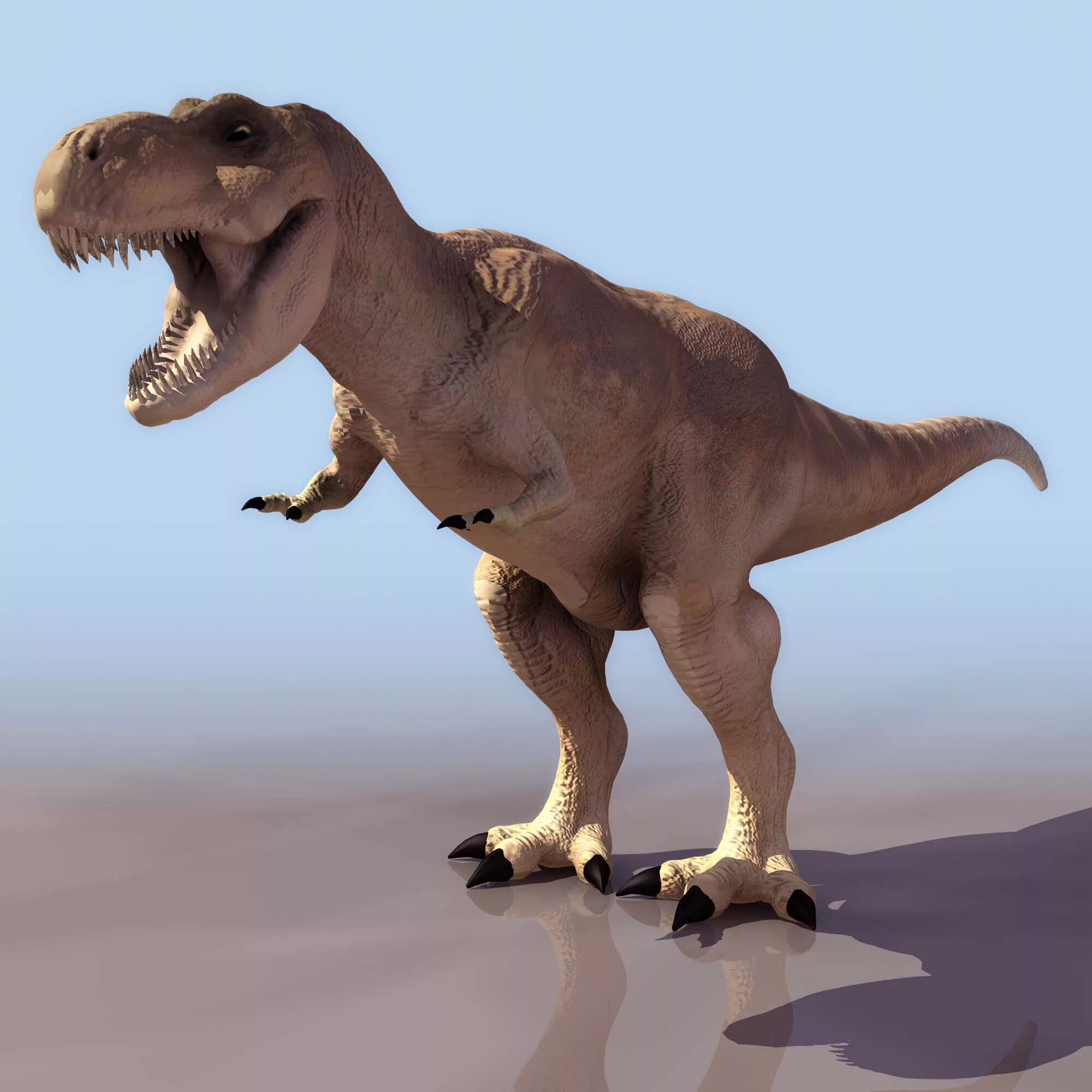 Тиранозавр рекс. Тирекс 3d. Динозавр "Тиранозавр рекс". Тираннозавр рекс 3d модель.