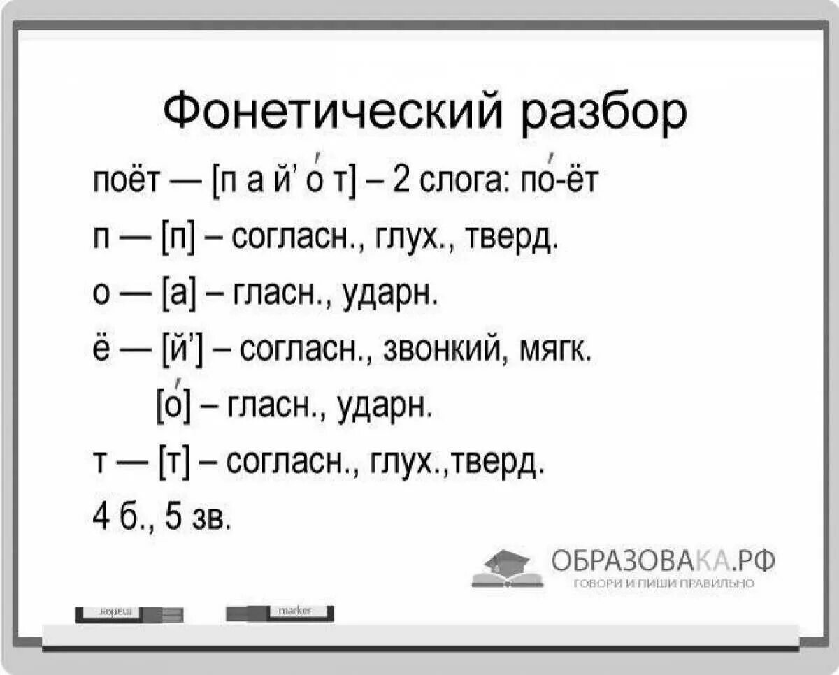 Разбор слова нос. Фонетический разбор слова поёт 3 класс. Фонетический разбор слова поют 2. Звуко-буквенный разбор слова. Звуко буквенный анализ слова поют.