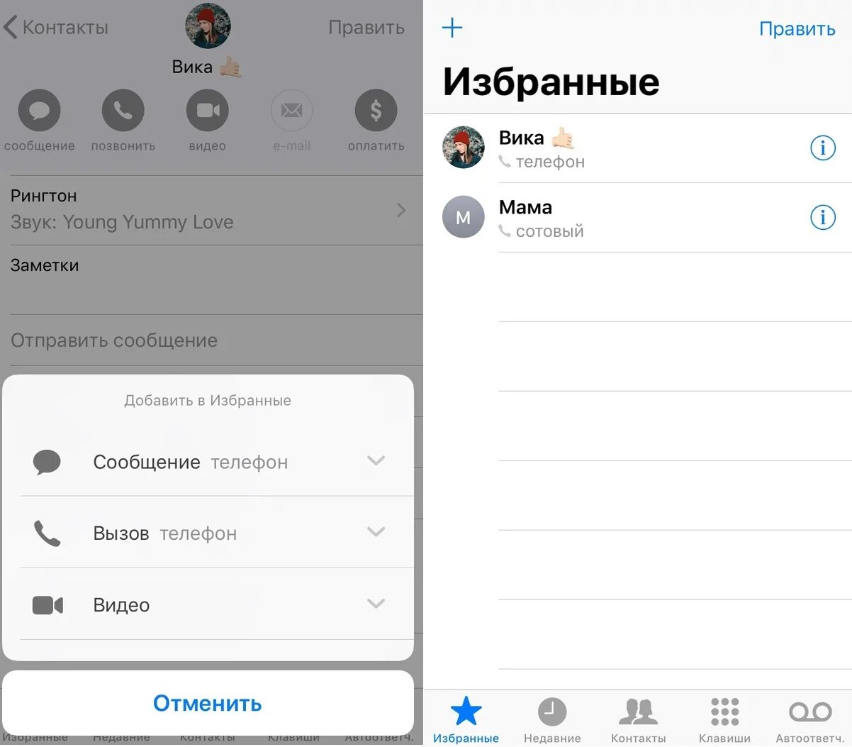 Группы в контактах айфон. Избранные контакты. Избранные контакты в iphone. Избранное айфон контакты. Приложение контакты айфон.