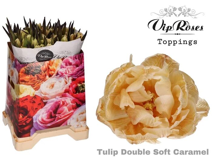 Werther's original soft caramel. Soft caramel. Werthers original. Soft caramel. Werther's original карамель.