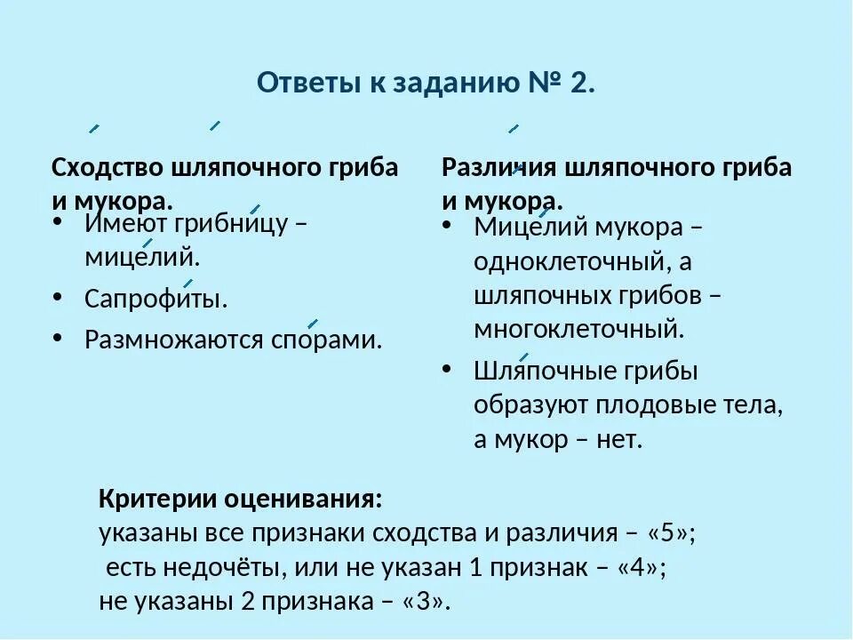 В чем различие в строении. Сходство и отличие грибов плесневых и шляпочных. Сходство шляпочных и плесневых грибов. Сходства и различия шляпочных и плесневых грибов. Сходство и различие плесневых грибов.