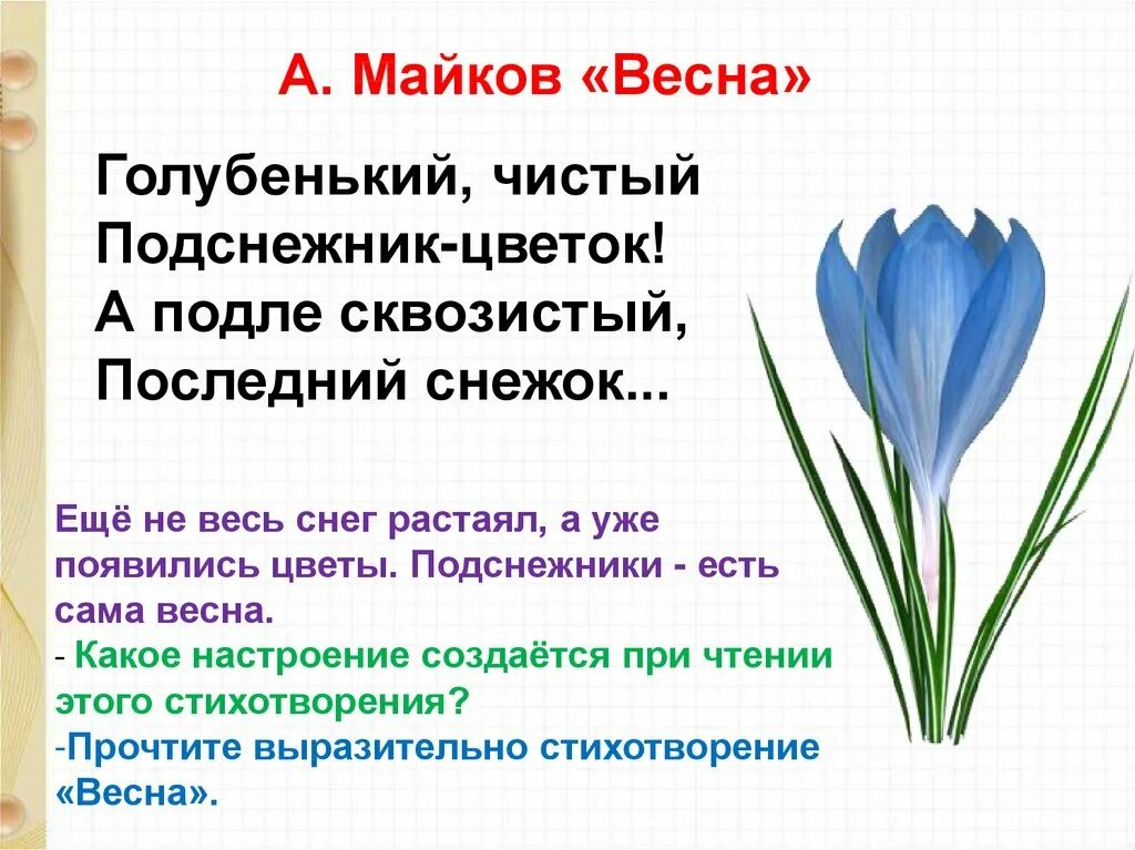 Майков Подснежник. Стих про Подснежник. Весенние произведения 2 класс