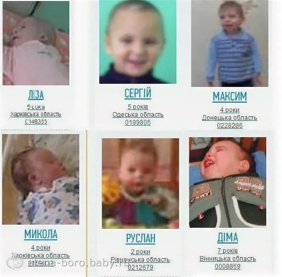 Дата рождения дата усыновления