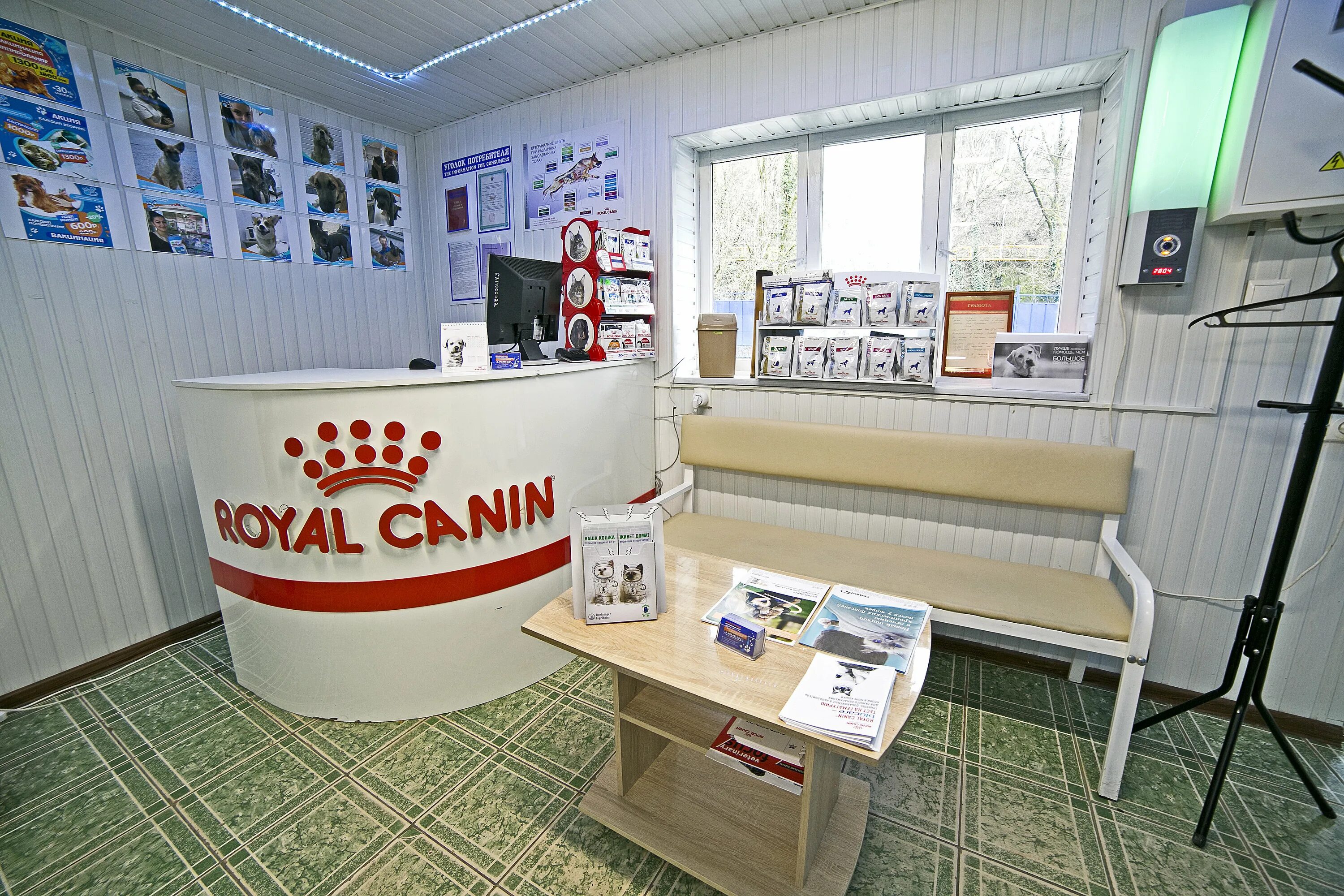 ветеринарная клиника на гайдара в дагомысе. ветклиника дагомыс. ветклиника дагомыс. ветеринарная клиника армавир. ветклиника дагомыс гайдара.