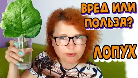 Сок листья лопуха польза