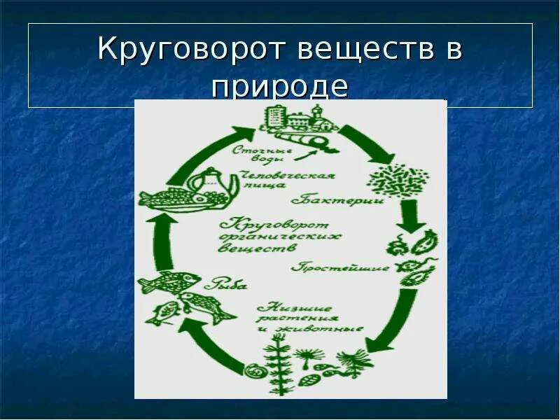 Изготовить модель демонстрирующую круговорот веществ 3 класс. Круговорот веществ в природе. круговорот веществ в природе схема. модель круговорота веществ в природе. круговорот веществ презентация.