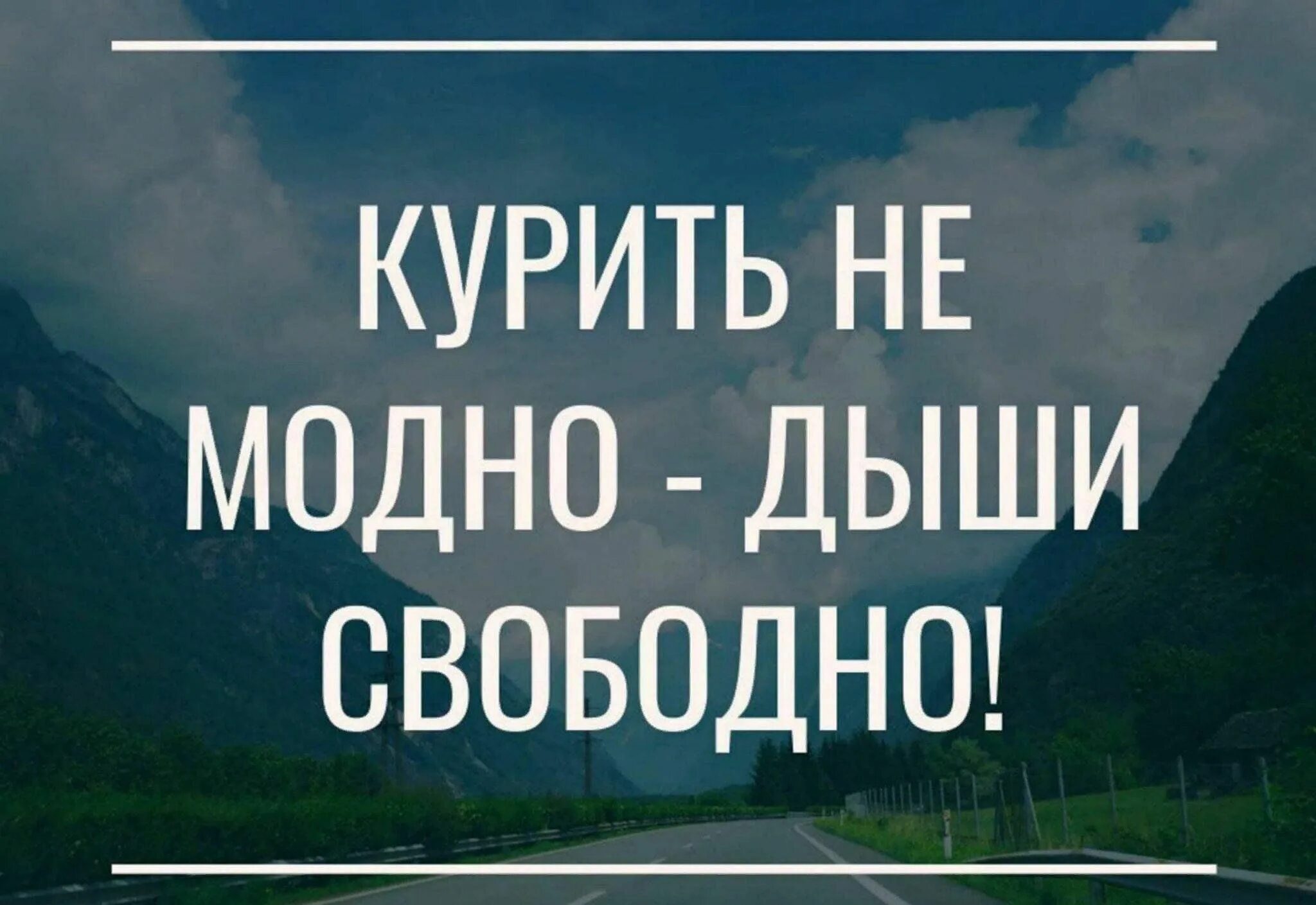 Не только модно но и. Не только модно но и