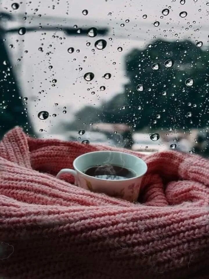 13 ноября утром. Утренняя хандра. Утро дождь кофе. Доброе ноябрьское утро воскресенья. Воскресенье ноябрь утро.