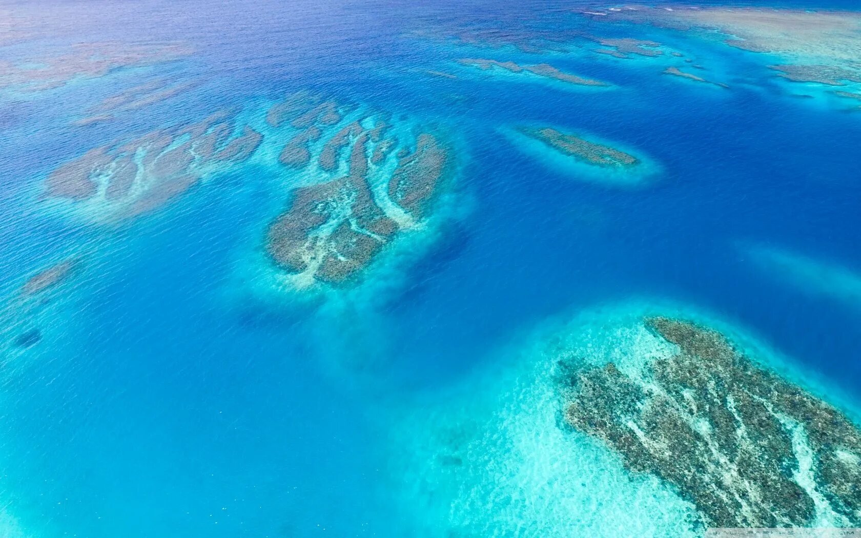 Самые большие моря мирового океана