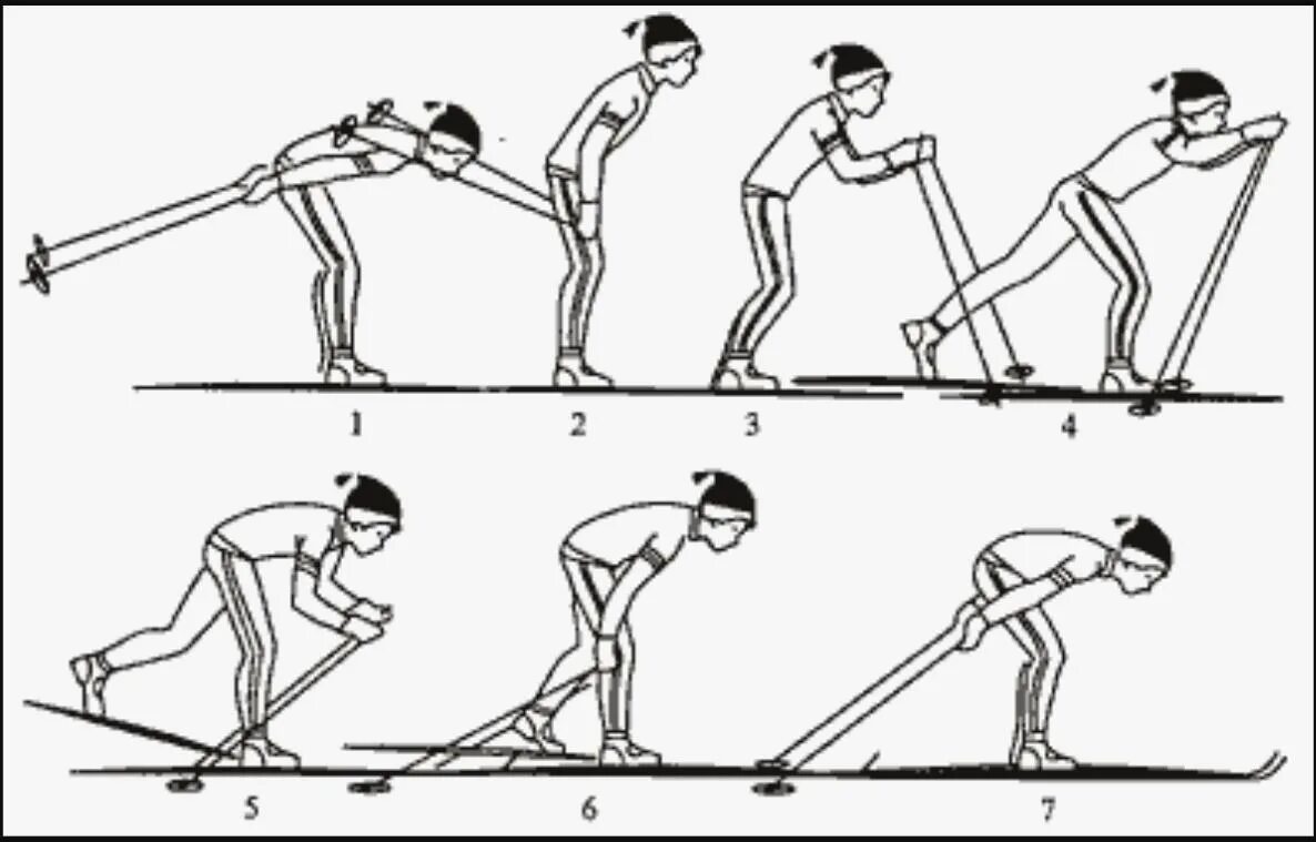 Одновременно одношажный ход на лыжах. Одновременный одношажный ход на лыжах. Теория попеременный одношажный ход. Одновременный одношажный коньковый ход. Как называется лыжный ход на картинке