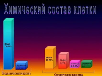 Химия в 5 классе