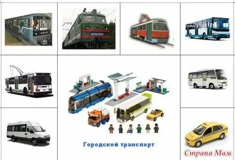 Группа городской транспорт