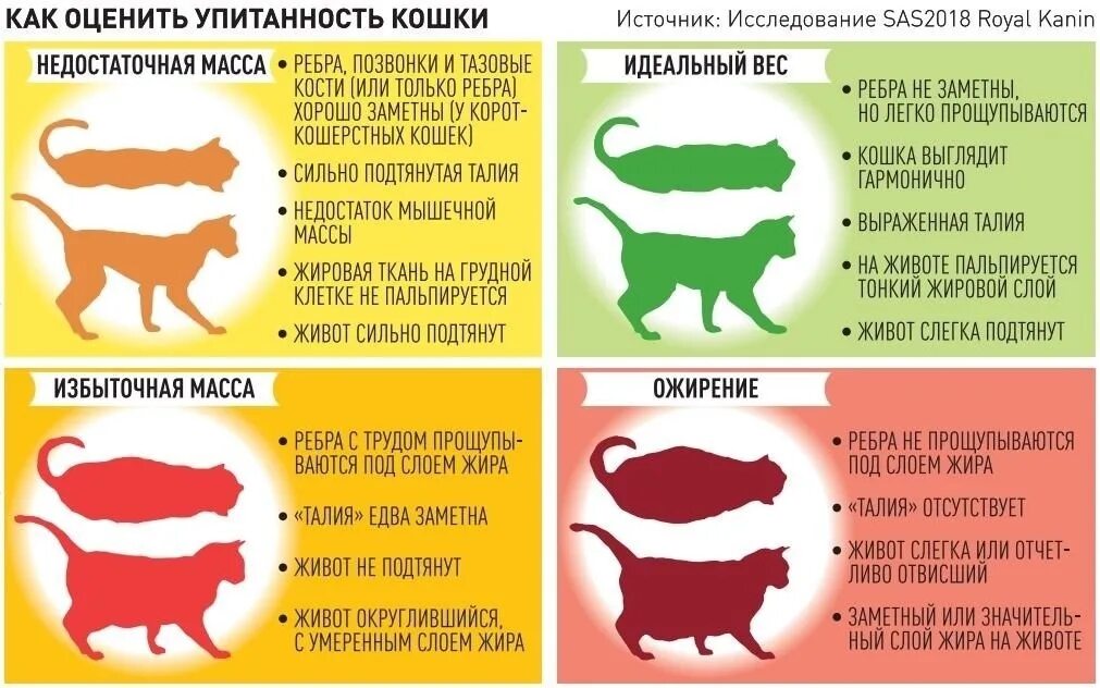 Температура тела у коровы Знай ферму Дзен