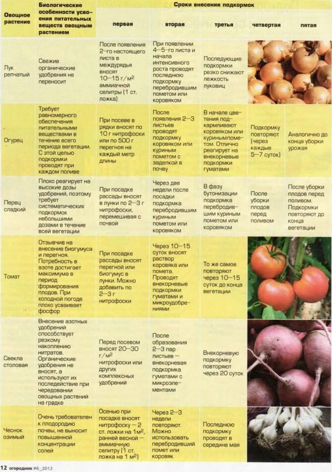 Какое удобрение надо вносить. Таблица удобрений для растений в саду. Таблица подкормок овощей органическими удобрениями. Подкормка овощей удобрениями таблица. Таблица подкормки растений томаты.