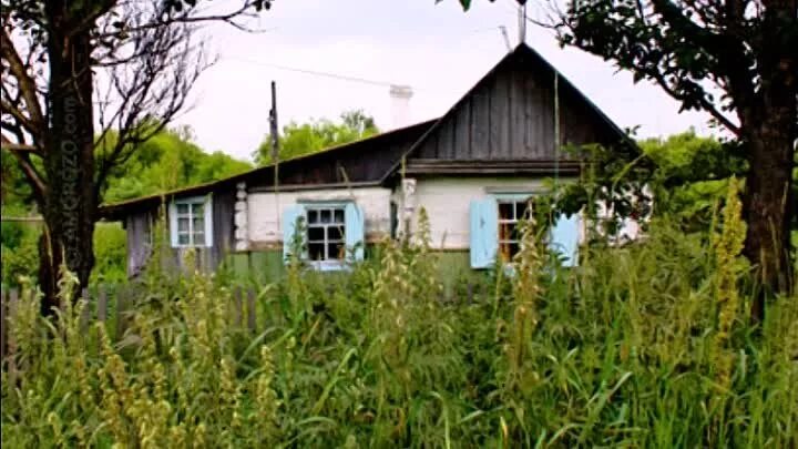 Посёлок арково сахалин. Сахалин в 18 веке. Погода арково берег. Неводское сахалинская область. Погода арково берег.