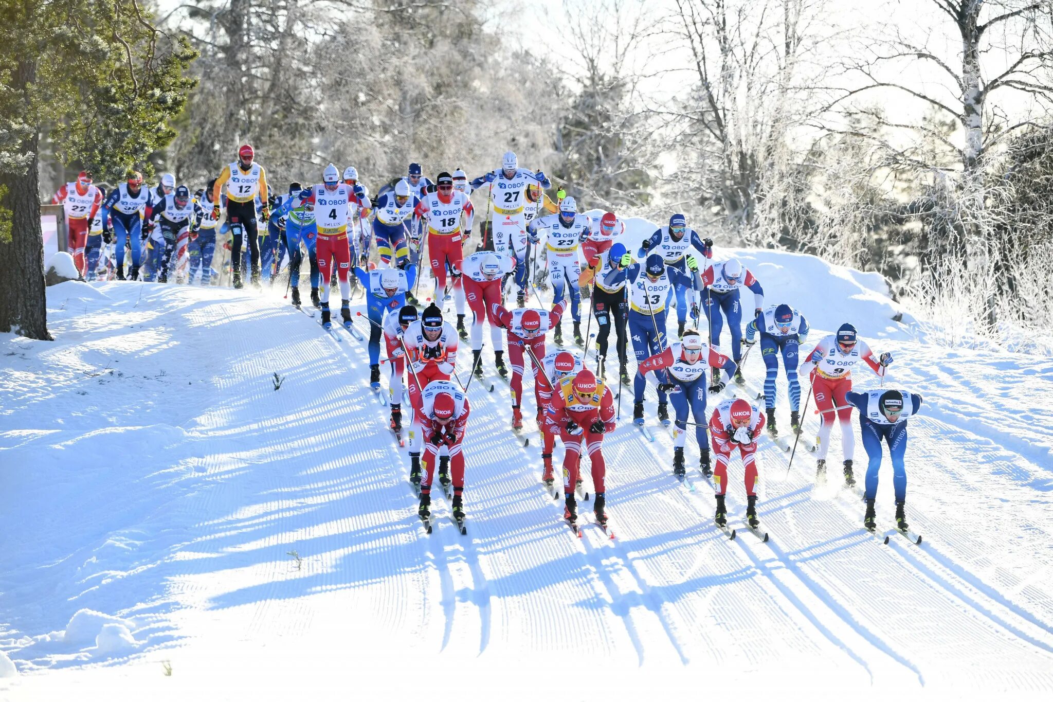 Перспективы лыжного спорта. Лыжные гонки. Спорт лыжные гонки. Лыжные соревнования. Лыжный спорт в России.