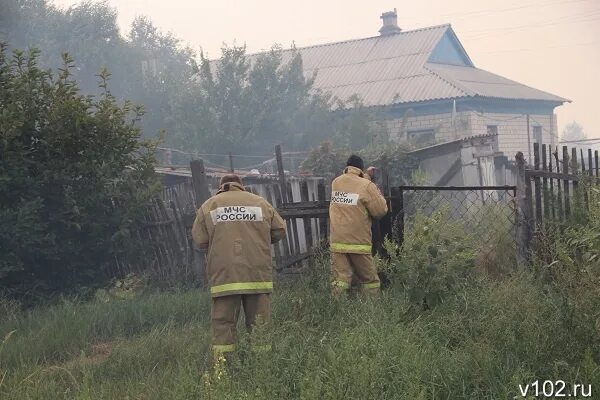 Погода в хуторе моховский волгоградская область. Хутор моховский. Погода в хуторе моховский волгоградская область. Погода в хуторе моховский волгоградская область. Хутор моховский волгоградская область фото.