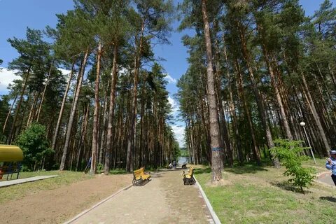 Белоруссия санатории сосны минская область
