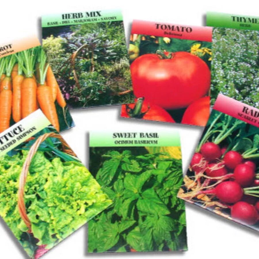 Семена овощей. Семена в пакетиках. Семена овощей в упаковке. Овощи семена и сорта.