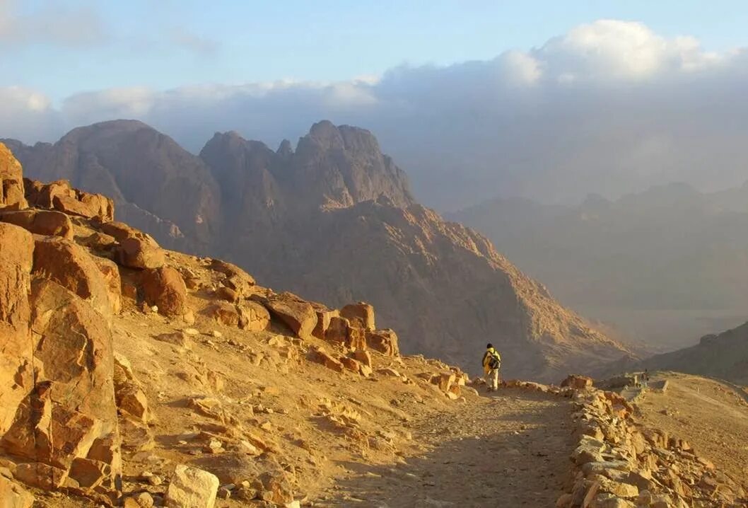 Синай гора моисея. Маунт синай в нью-йорке. Гора синай в египте. Синай песня. Гора моисея шарм эль шейх.