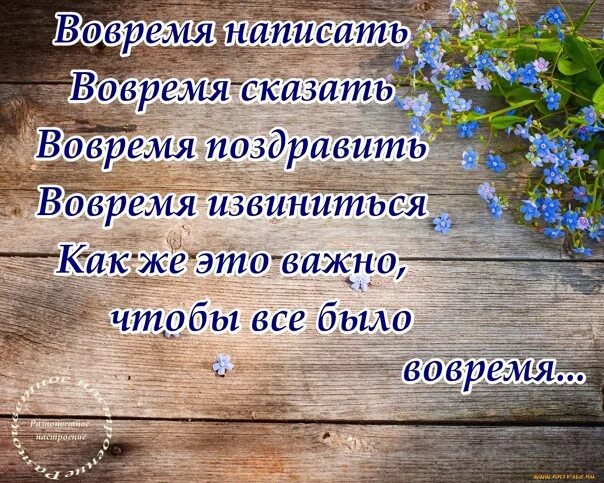 Вовремя сказал. Вовремя сказал. Человек человеку брат философия. Самые важные слова. Есть один очень важный промежуток времени вовремя.