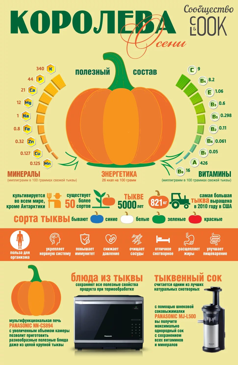Полезные вещества в тыкве. Тыква витамины. Полезные витамины в тыкве. Содержание витаминов в тыкве.