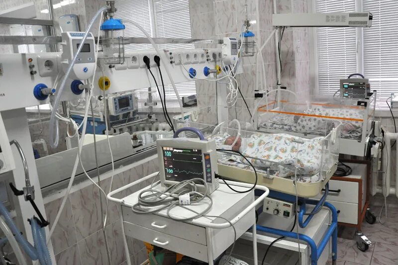 листовка подолога. подолог липецк отзывы. подомед нижний новгород. подолог липецк отзывы. подолог с яркими волосами.