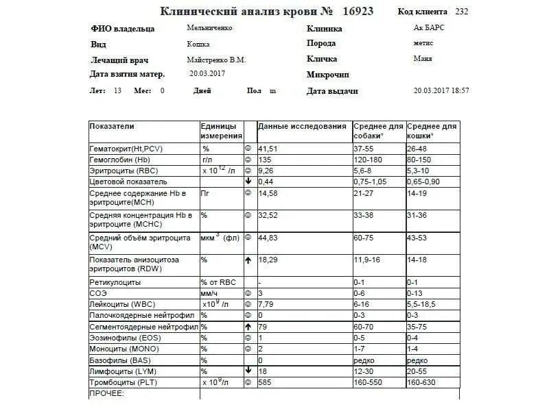 Норма сахара в крови у кошек. Анализы крови у кошки с сахарным диабетом. Клинический анализ крови кошки. Исследование крови при остром панкреатите у кошек. Клинический анализ крови при остром панкреатите.