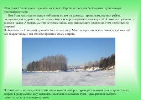 По обеим сторонам дороги стояли