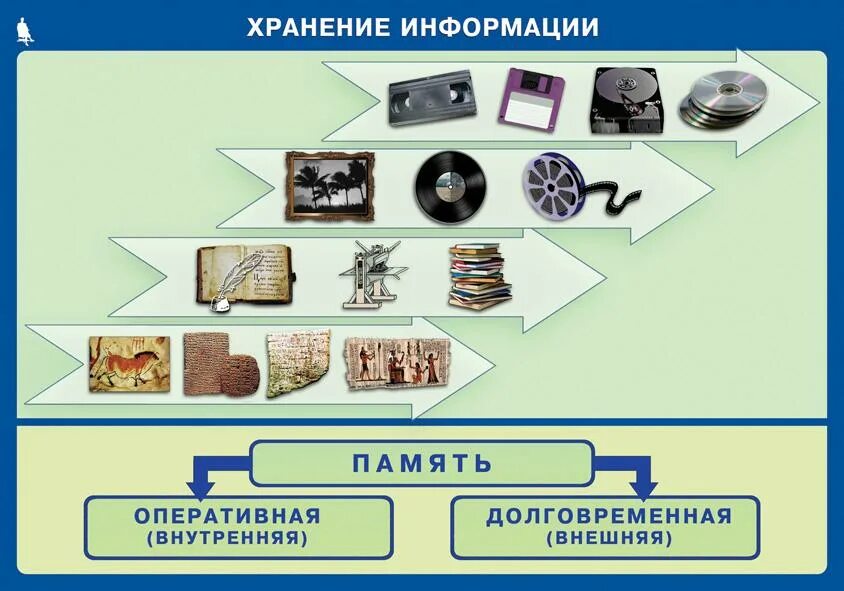 Хранят и передают информацию