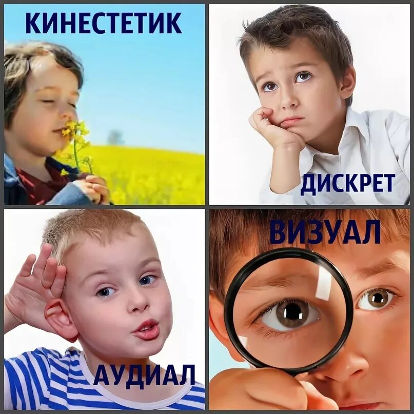 Тип восприятия ребенка. Аудиалы визуалы кинестетики. визуал аудиал кинестетик дискрет. восприятие аудиал визуал кинестетик. тип восприятия аудиал.