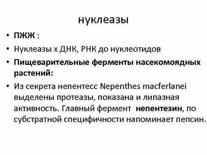Нуклеазы