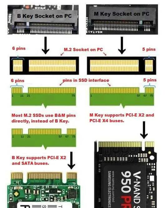 Как отличить м. SATA m2 и NVME m2. SATA m2 в NVME m2 разъемы. SSD m2 PCIE разъем. PCI Express SSD M.2.